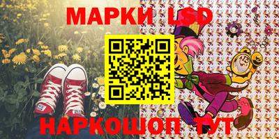 крисы Будённовск