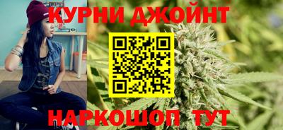 крисы Будённовск