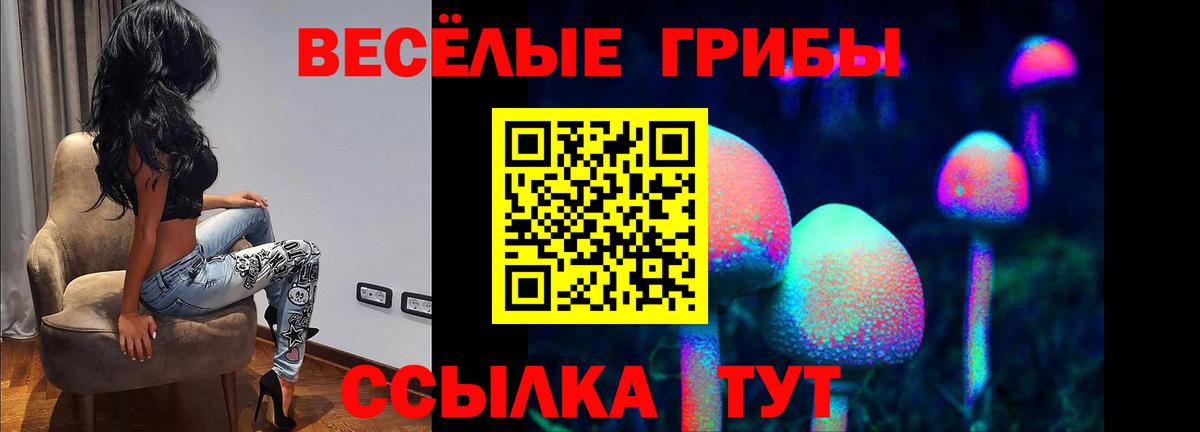 Галлюциногенные грибы прущие грибы  купить наркотик  Старая Купавна  Вход с VPN 